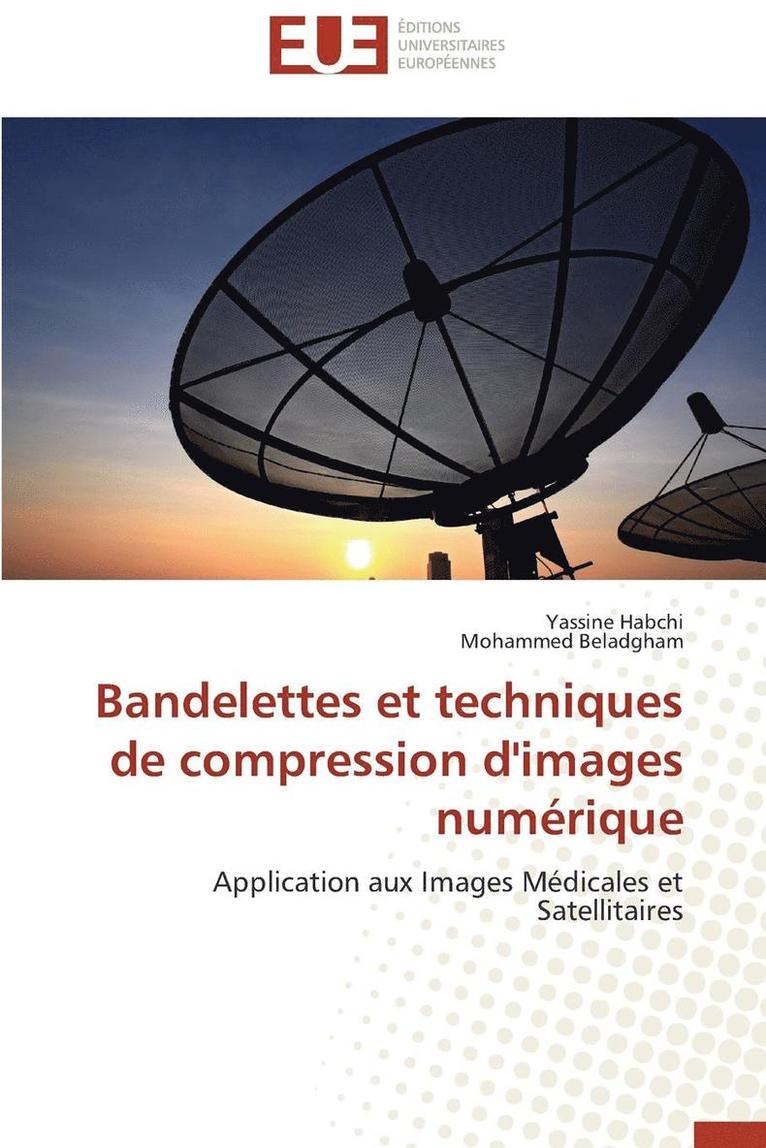 Bandelettes Et Techniques de Compression d'Images Num rique 1