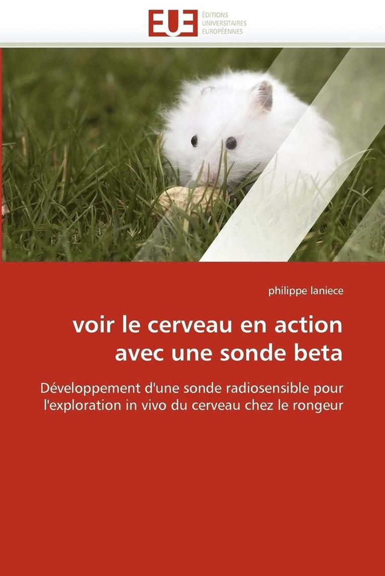 Voir Le Cerveau En Action Avec Une Sonde Beta 1