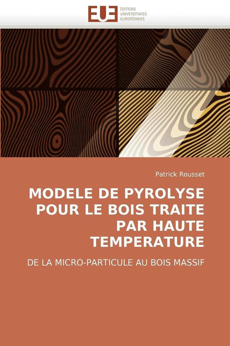 Rousset-P, ROUSSET-P, Patrick Rousset - Modele de Pyrolyse Pour Le Bois Traite Par Haute Temperature, Häftad