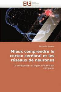 bokomslag Mieux Comprendre Le Cortex C r bral Et Les R seaux de Neurones