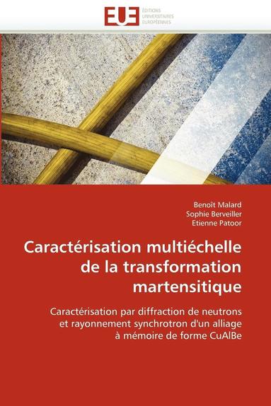 bokomslag Caract risation Multi chelle de la Transformation Martensitique