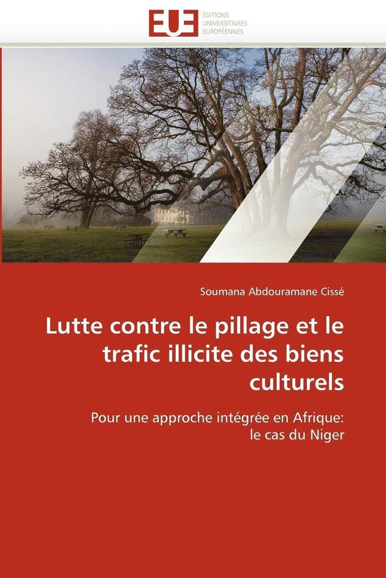 Lutte Contre Le Pillage Et Le Trafic Illicite Des Biens Culturels