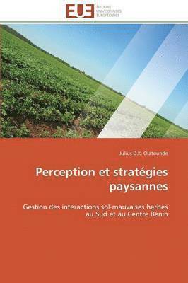 bokomslag Perception Et Strat gies Paysannes