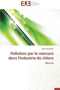 bokomslag Pollution Par Le Mercure Dans l'Industrie Du Chlore