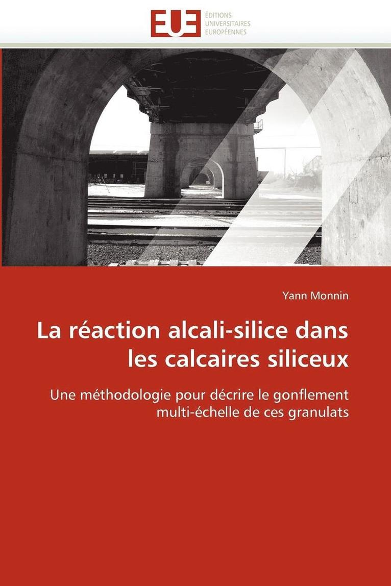 Monnin-Y, TBD, Yann Monnin - réaction alcali-silice dans les calcaires siliceux, Häftad