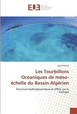 bokomslag Les Tourbillons Oceaniques de meso-echelle du Bassin Algerien