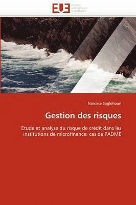 bokomslag Gestion Des Risques