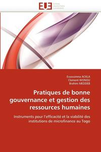 bokomslag Pratiques de Bonne Gouvernance Et Gestion Des Ressources Humaines