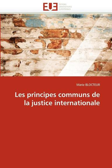 bokomslag Les Principes Communs de la Justice Internationale