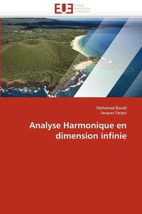 bokomslag Analyse Harmonique En Dimension Infinie