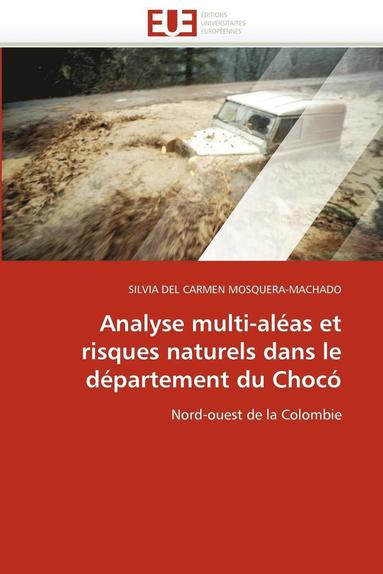 bokomslag Analyse Multi-Al as Et Risques Naturels Dans Le D partement Du Choc 