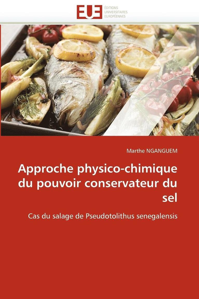 Approche Physico-Chimique Du Pouvoir Conservateur Du Sel 1