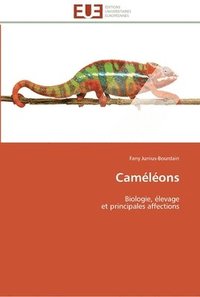 bokomslag Caméléons