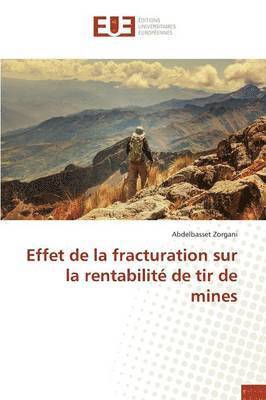 bokomslag Effet de la Fracturation Sur La Rentabilité de Tir de Mines