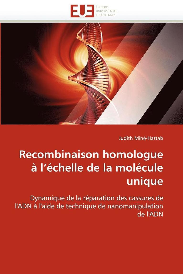 Minehattab-J, MINEHATTAB-J, Judith Miné-Hattab - Recombinaison Homologue � l''�chelle de la Mol�cule Unique, Häftad