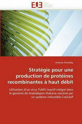 bokomslag Strat gie Pour Une Production de Prot ines Recombinantes   Haut D bit