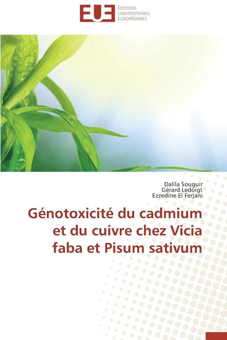 G notoxicit  Du Cadmium Et Du Cuivre Chez Vicia Faba Et Pisum Sativum 1