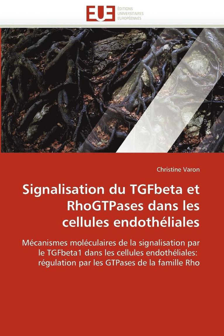 Varon-C, VARON-C, Christine Varon - Signalisation Du Tgfbeta Et Rhogtpases Dans Les Cellules Endoth�liales, Häftad