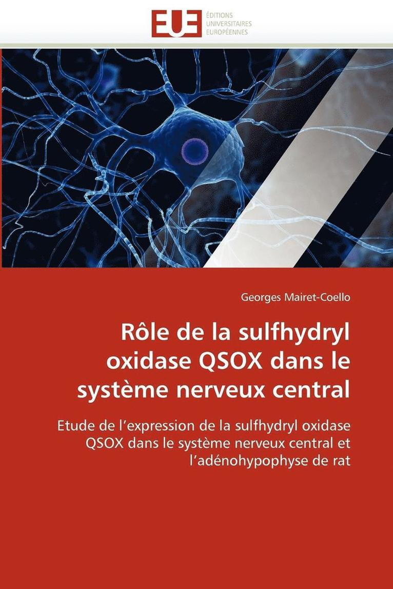 R le de la Sulfhydryl Oxidase Qsox Dans Le Syst me Nerveux Central 1