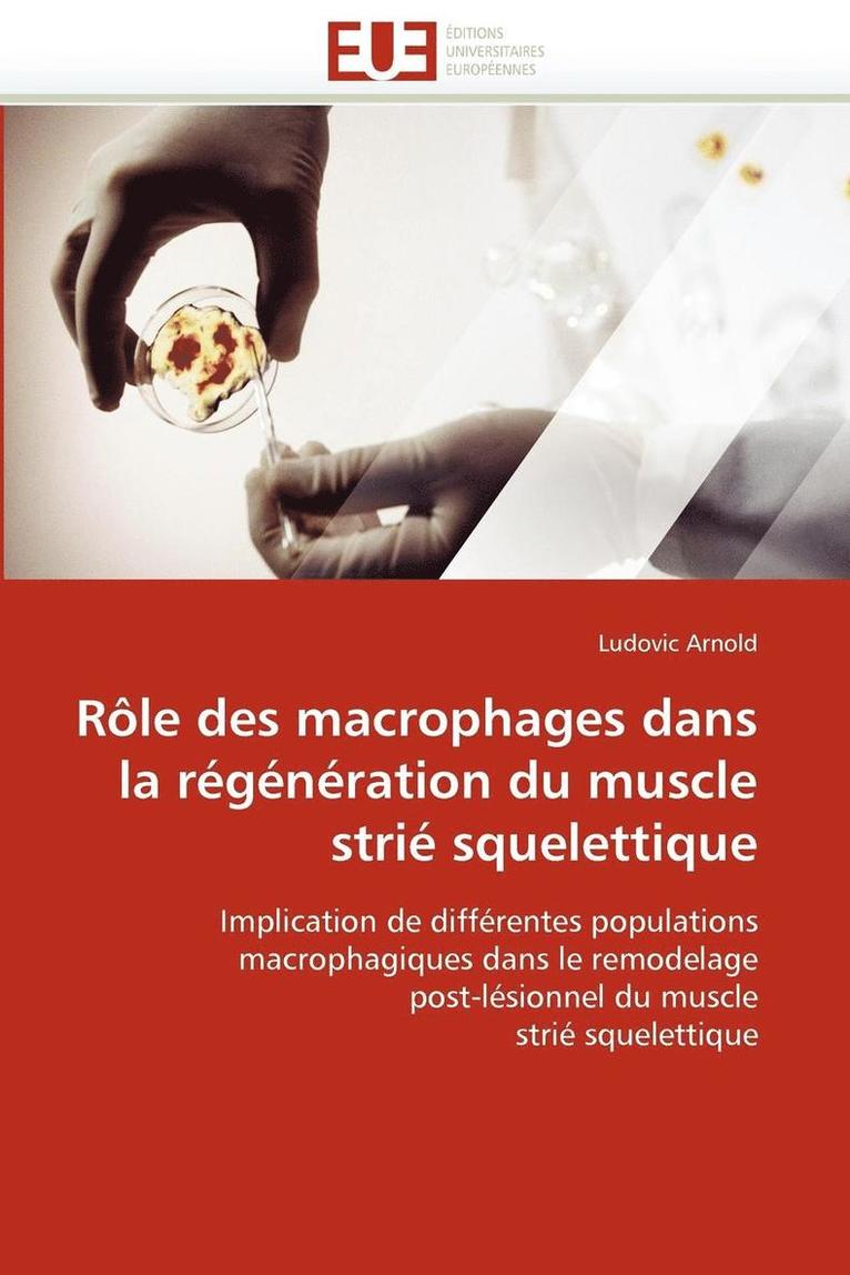 R le Des Macrophages Dans La R g n ration Du Muscle Stri  Squelettique 1