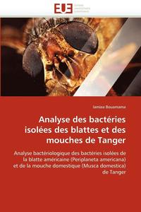 bokomslag Analyse Des Bact ries Isol es Des Blattes Et Des Mouches de Tanger