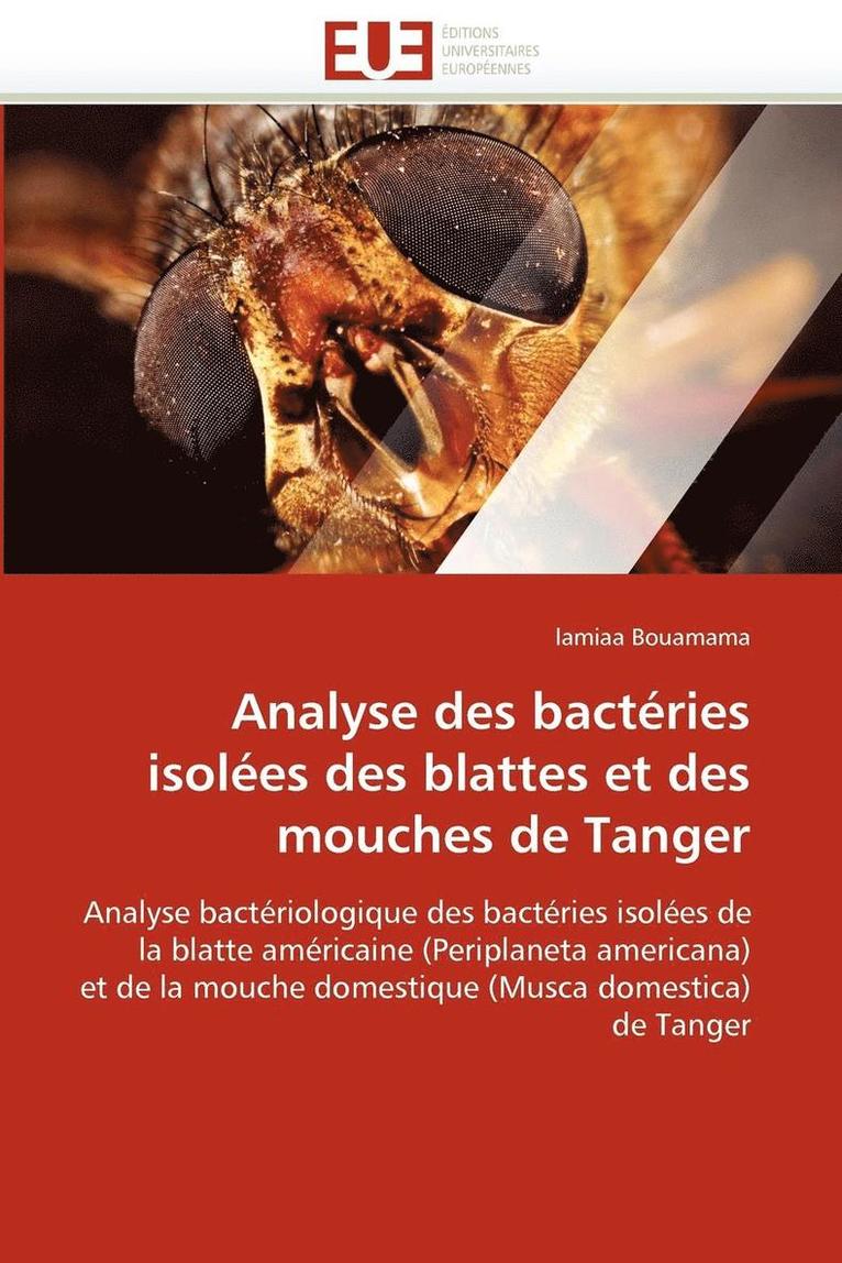 Analyse Des Bact ries Isol es Des Blattes Et Des Mouches de Tanger 1