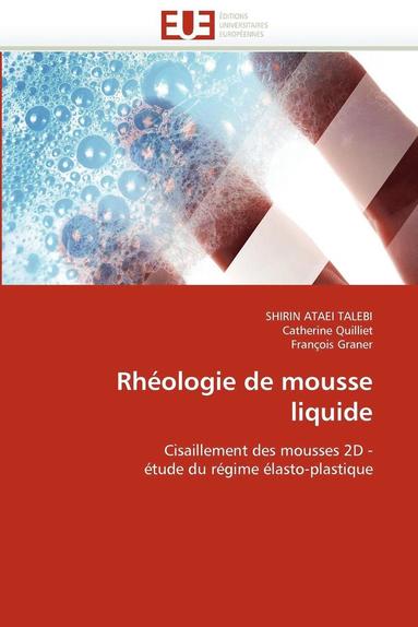 bokomslag Rh?ologie de Mousse Liquide