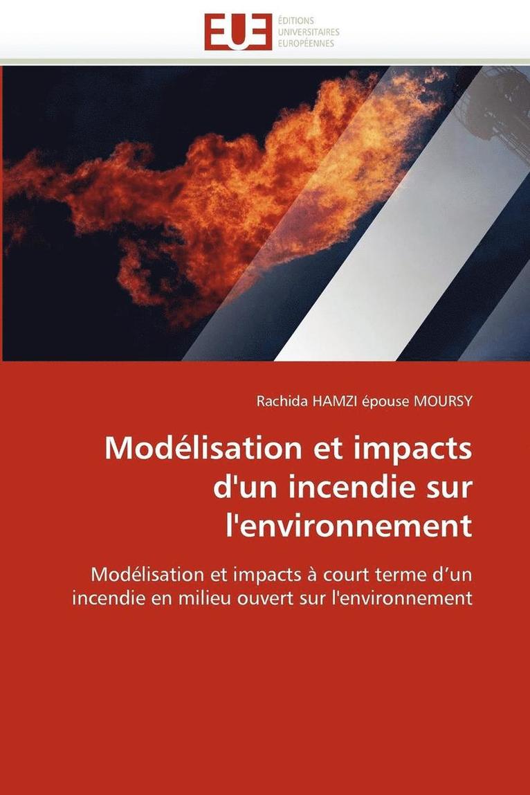 Hamzi Epouse Moursy-R, HAMZI EPOUSE MOURSY-R, Rachida HAMZI épouse MOURSY - Mod�lisation Et Impacts d''un Incendie Sur l''environnement, Häftad
