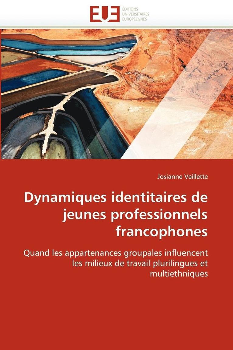 Dynamiques Identitaires de Jeunes Professionnels Francophones 1