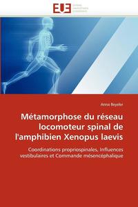bokomslag M tamorphose Du R seau Locomoteur Spinal de l''amphibien Xenopus Laevis