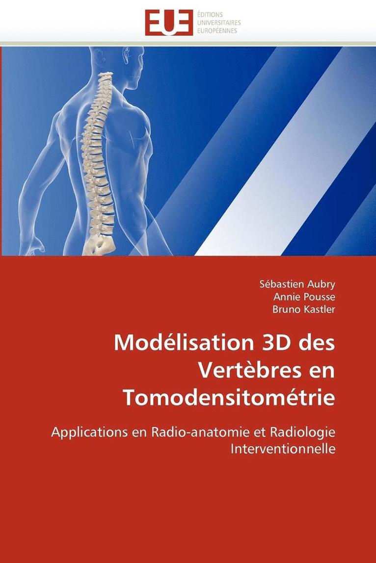 Modélisation 3d des vertèbres en tomodensitométrie