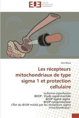 bokomslag Les récepteurs mitochondriaux de type sigma 1 et protection cellulaire