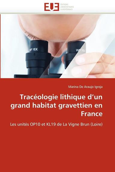 bokomslag Trac ologie Lithique d''un Grand Habitat Gravettien En France