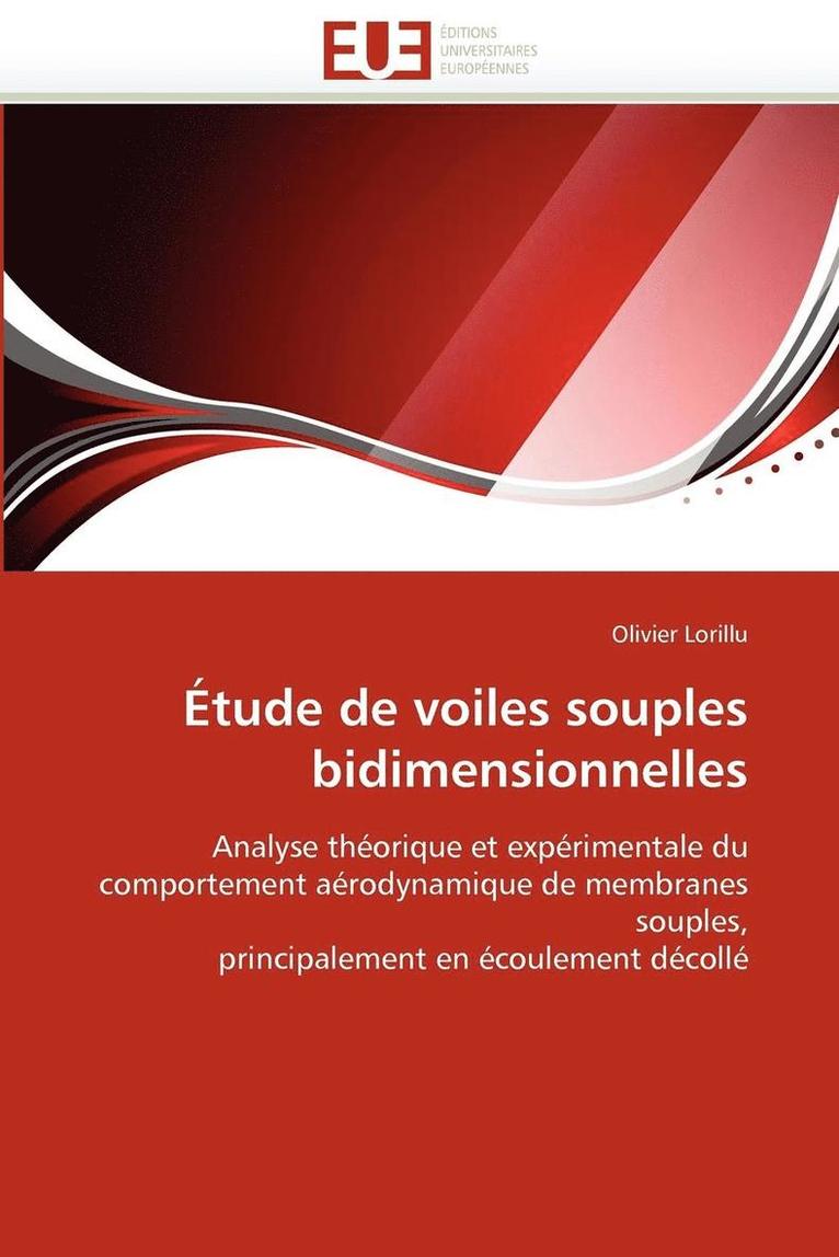  tude de Voiles Souples Bidimensionnelles 1