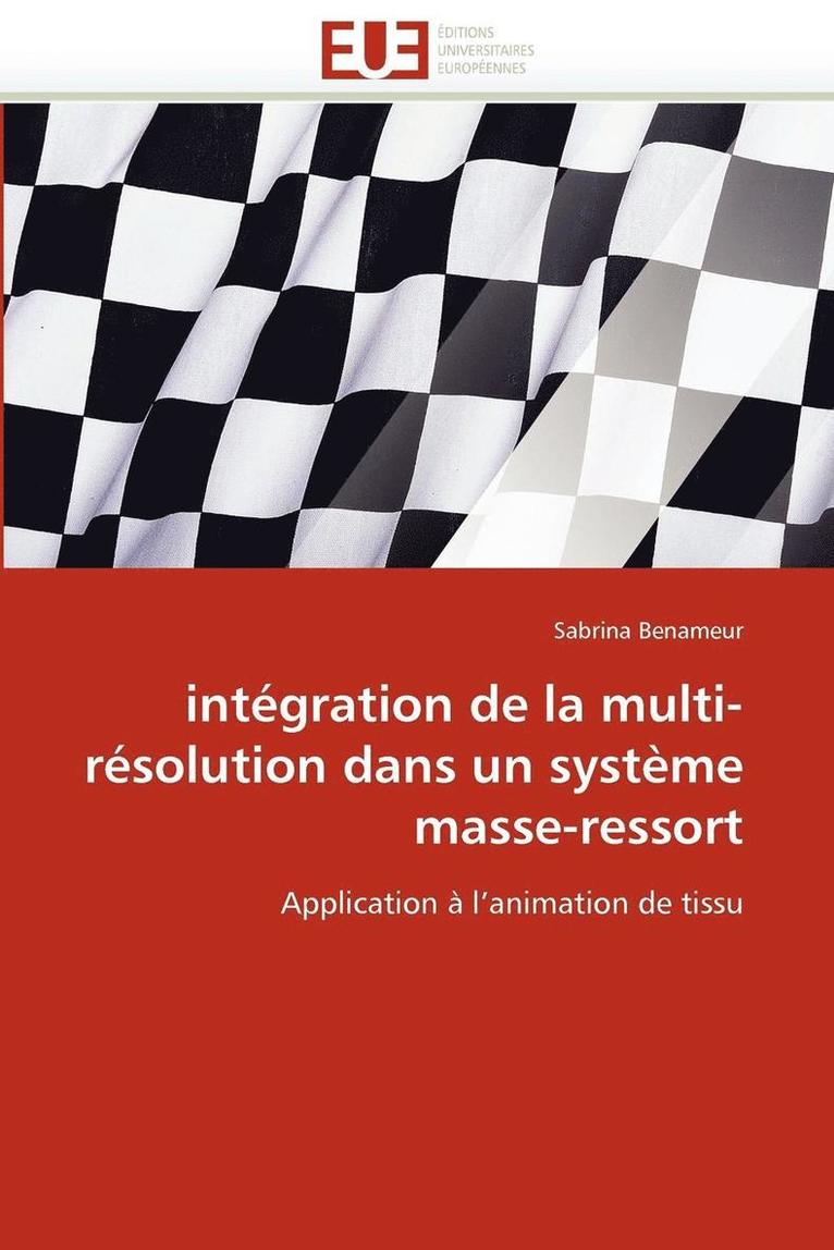 Benameur-S, BENAMEUR-S, Sabrina Benameur - Int�gration de la Multi-R�solution Dans Un Syst�me Masse-Ressort, Häftad