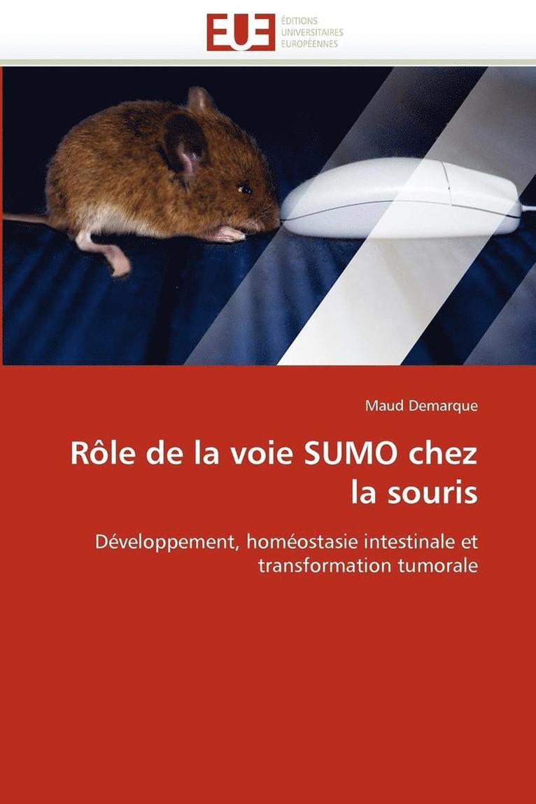 R le de la Voie Sumo Chez La Souris 1