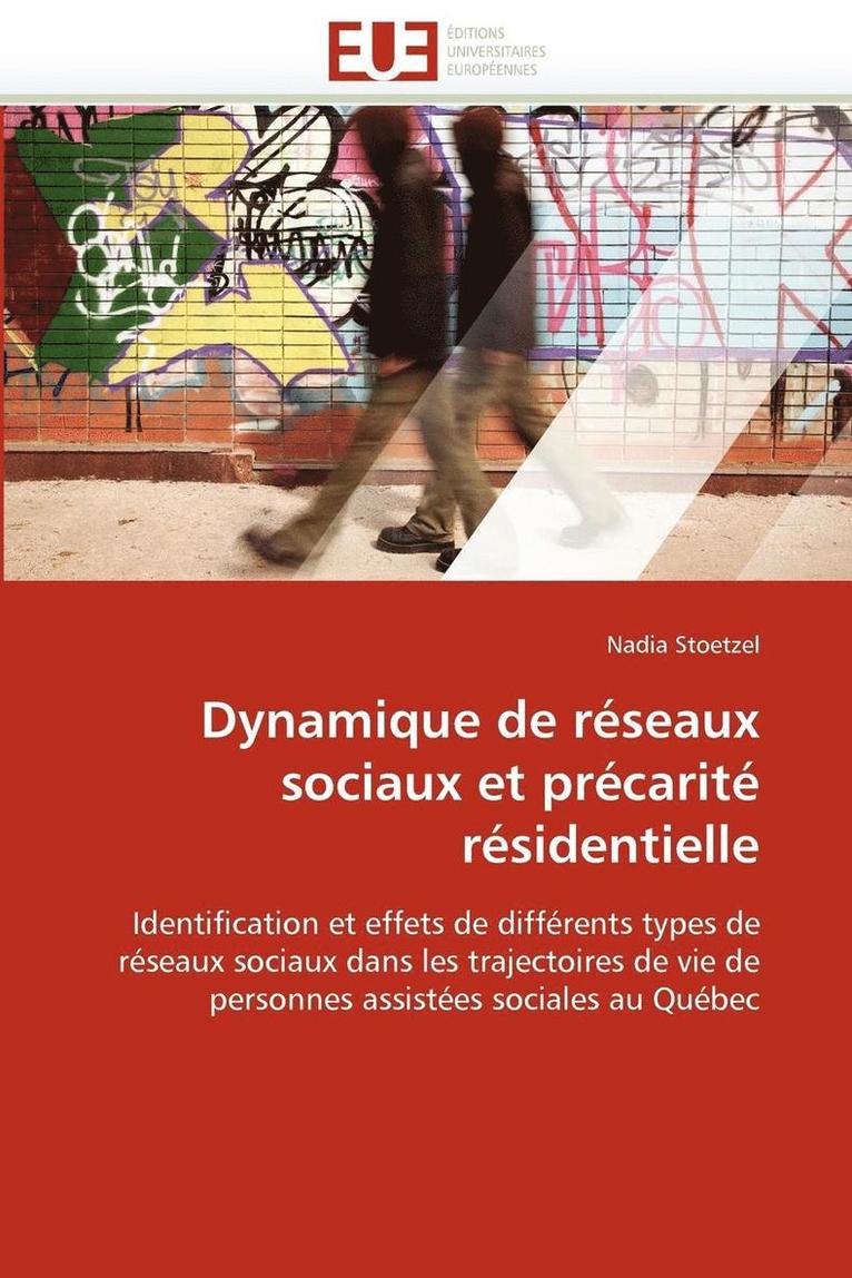 Dynamique de R seaux Sociaux Et Pr carit  R sidentielle 1