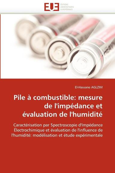 bokomslag Pile ? Combustible
