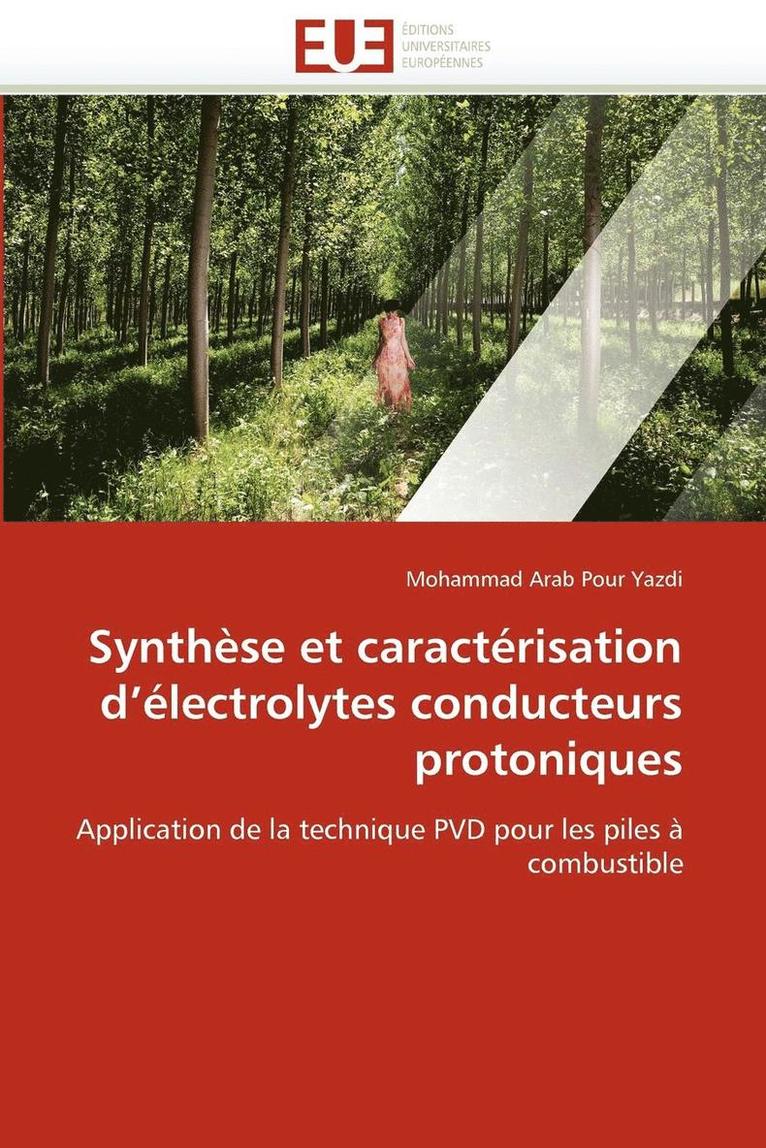 Synth se Et Caract risation D  lectrolytes Conducteurs Protoniques 1