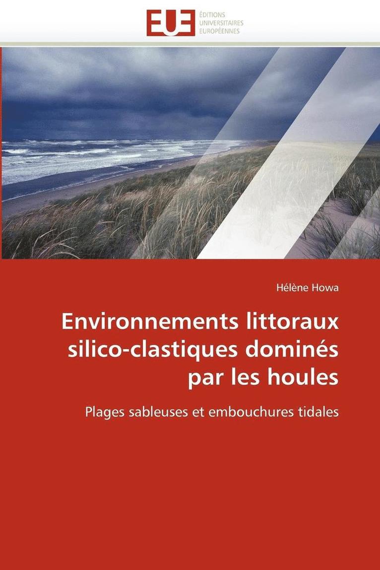 Environnements Littoraux Silico-Clastiques Domin s Par Les Houles 1