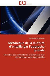 bokomslag M canique de la Rupture D Entaille Par L Approche Globale