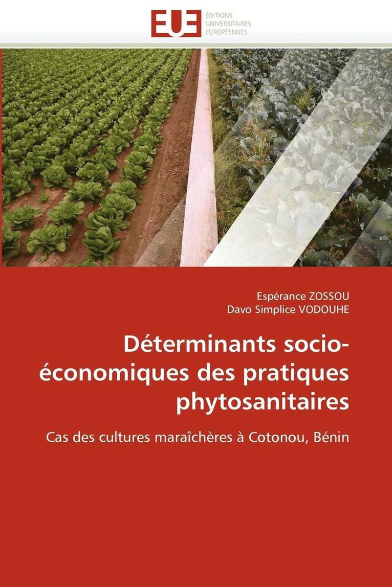 Collectif, Espérance Zossou, Davo Simplice Vodouhe - D�terminants Socio-�conomiques Des Pratiques Phytosanitaires, Häftad