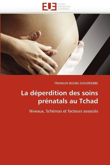 bokomslag La D?perdition Des Soins Pr?natals Au Tchad