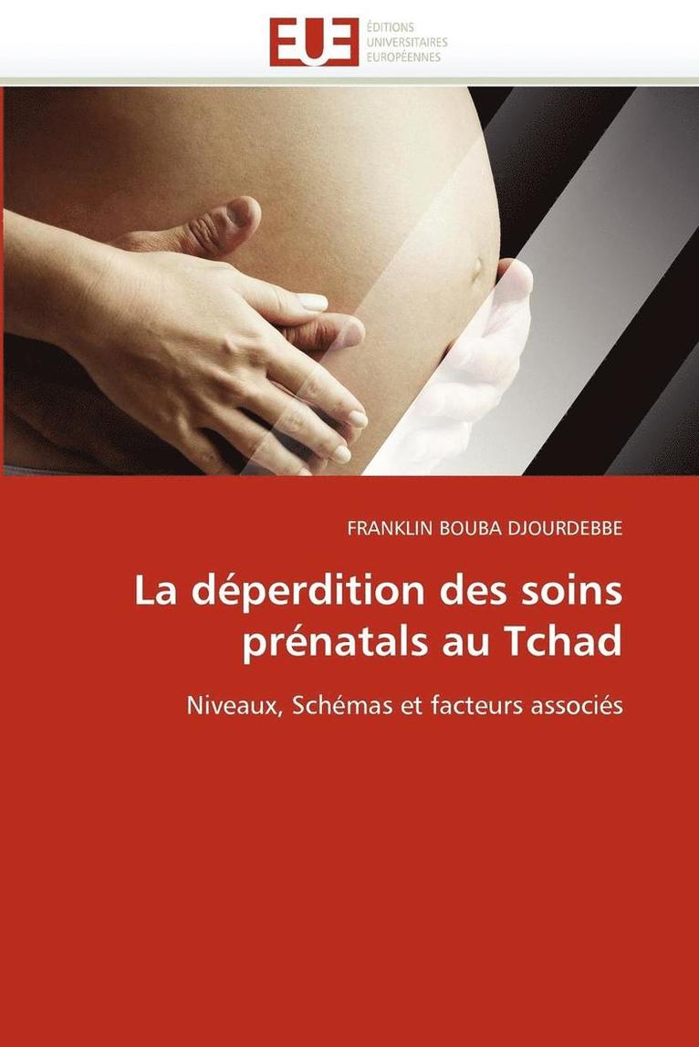 Bouba Djourdebbe-F, TBD, Franklin Bouba Djourdebbe - déperdition des soins prénatals au tchad, Häftad