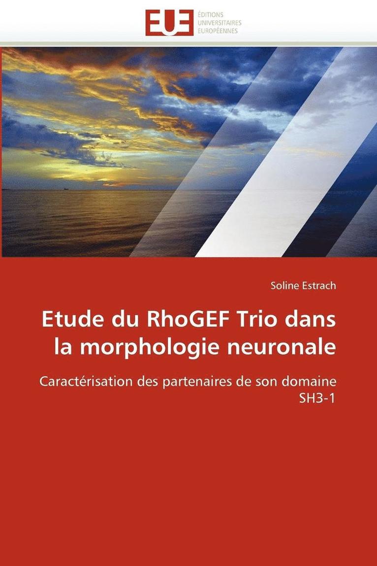 Etude Du Rhogef Trio Dans La Morphologie Neuronale 1