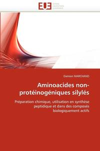 bokomslag Aminoacides Non-Prot inog niques Silyl s