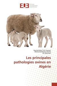 bokomslag Les Principales Pathologies Ovines En Algerie