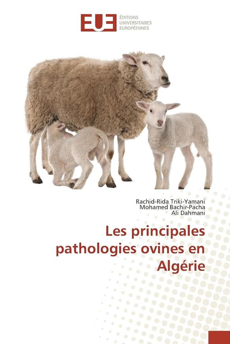 Les Principales Pathologies Ovines En Algerie 1
