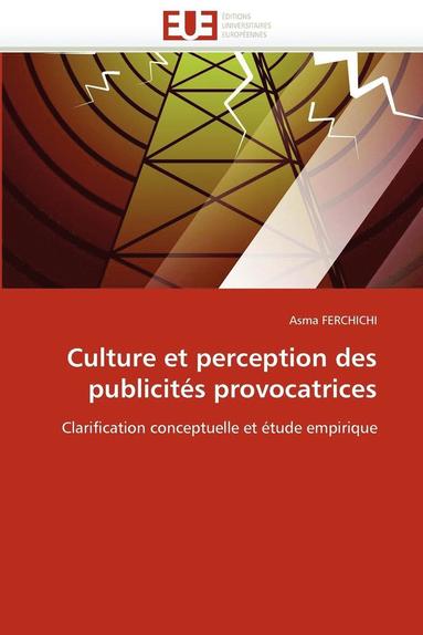 bokomslag Culture Et Perception Des Publicit s Provocatrices