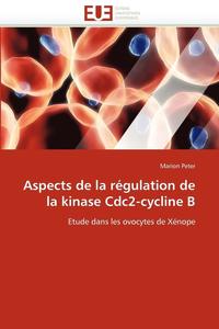 bokomslag Aspects de la R gulation de la Kinase Cdc2-Cycline B